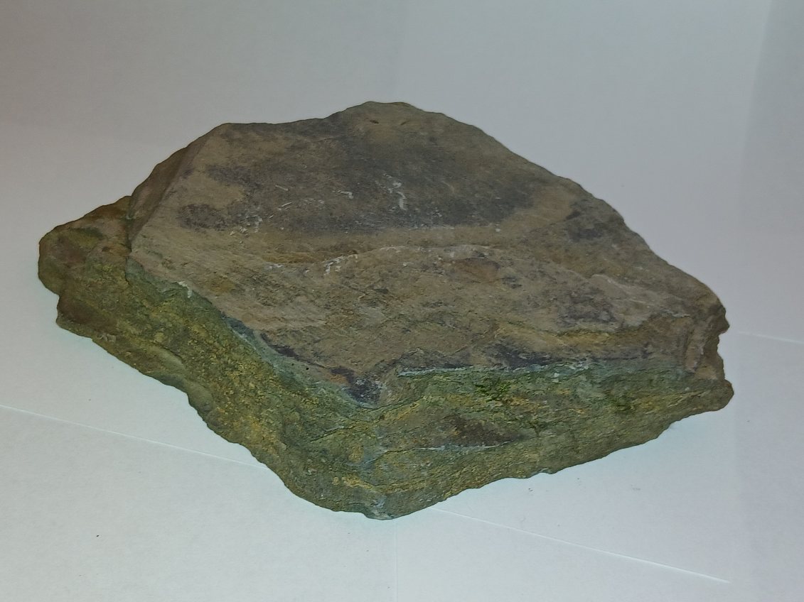 Shale from Mt. Washington, New Hampshire