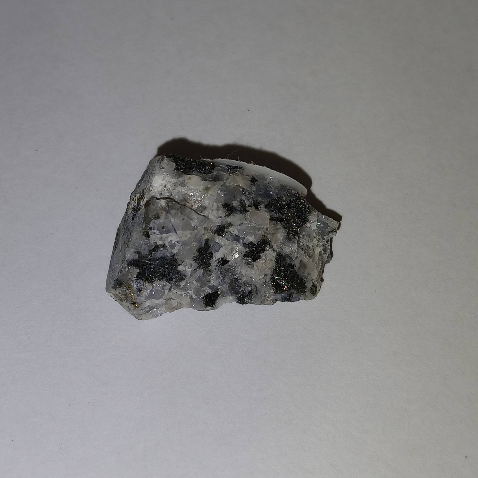 Foid-bearing-monzonite from Butte, Montana